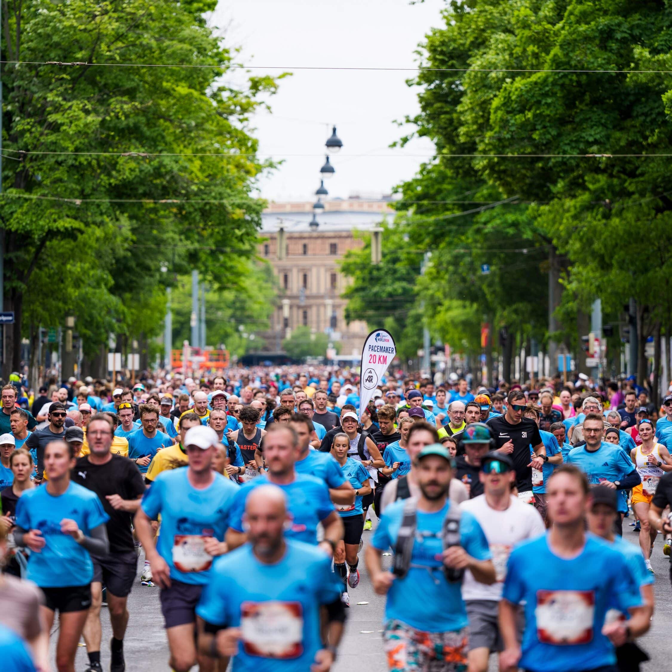 Wings for Life World Run<div class="namezusatz">Global (Laufen)</div>