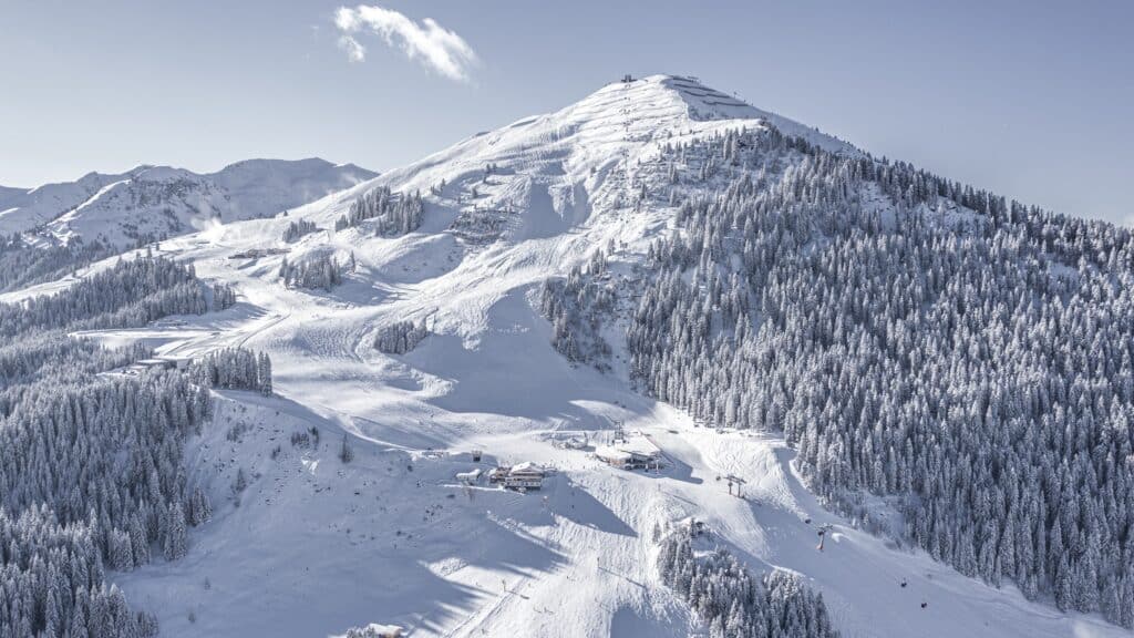 #VICTOR2025: ÖSV-Präsidentin Roswitha Stadlober ist Sport-Managerin des Jahres [Exklusiv]